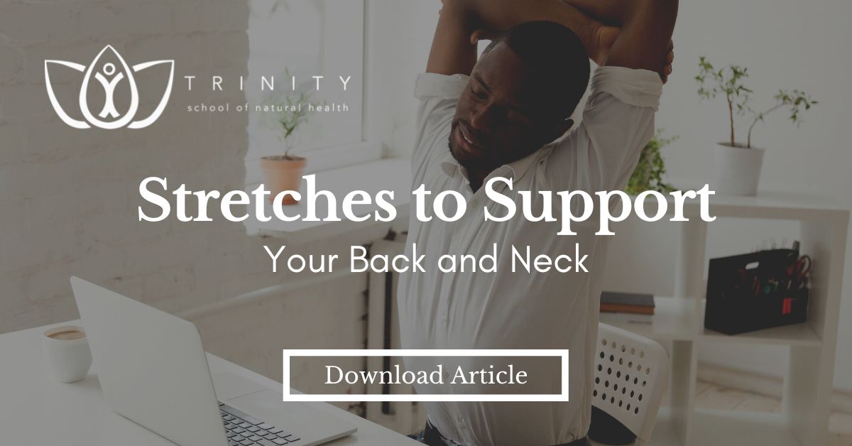 Stretches to Support Your Back & Neck