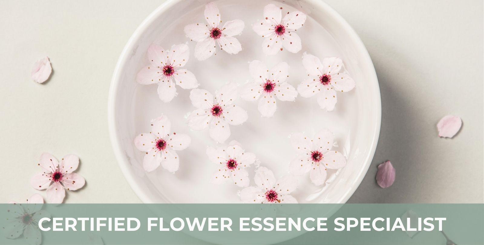 Certified Flower Essence Specialist Trinity School of Natural Health